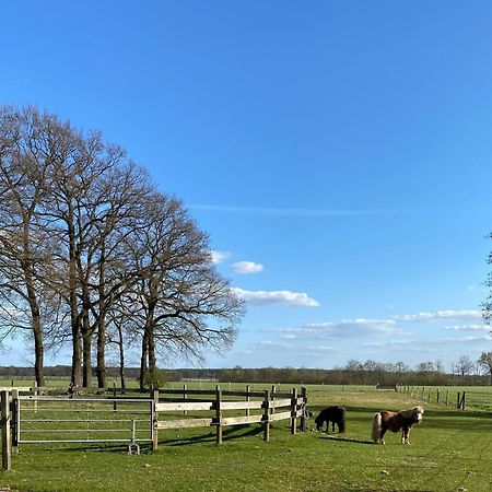 Ferienhof Westermann Waldblick Lähden Eksteriør bilde