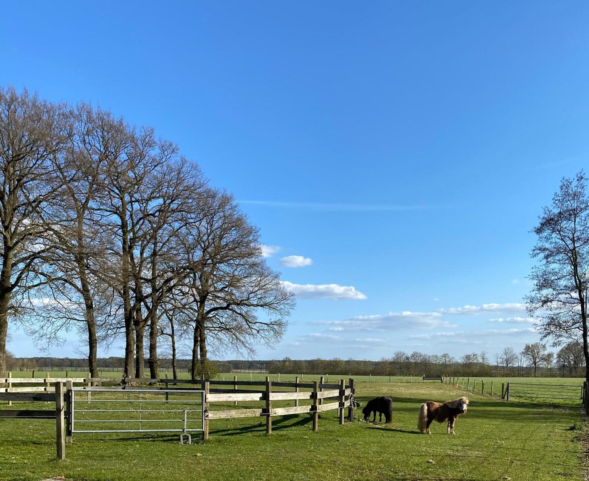 Ferienhof Westermann Waldblick Lähden Eksteriør bilde